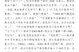 雅安雅安的要账公司在催收过程中的策略和技巧有哪些？